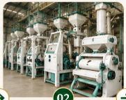 Rice Processing