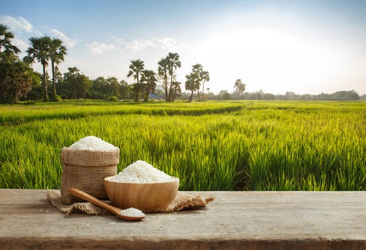 Jai Giriraj Rice Mill